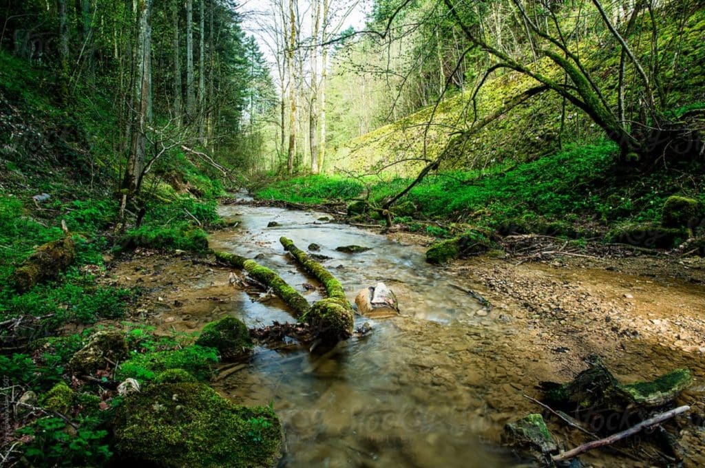 5 Things to do in Montgomery County, TX 1 the highlands blog