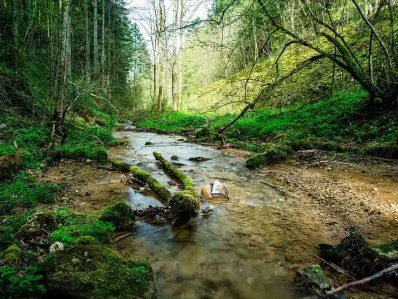 the highlands porter texas