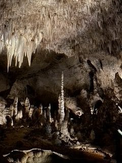 Welcome to National Parks with Parkmaster Piper! 5 national parks guide