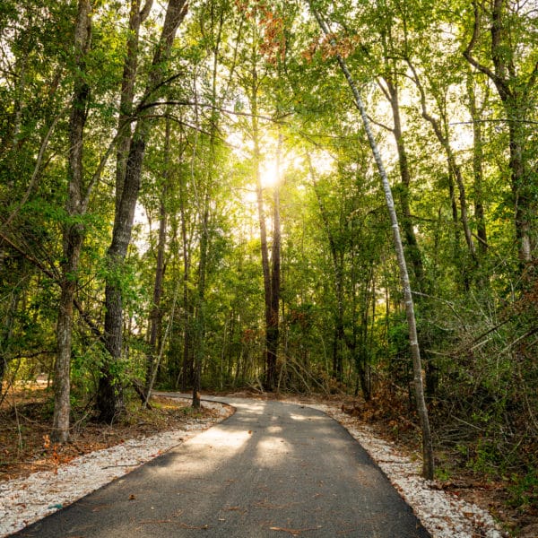 Trails 7 Paved Trails around Mirror Lake