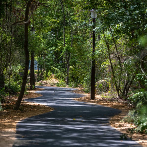 Paved Trails around Mirror Lake