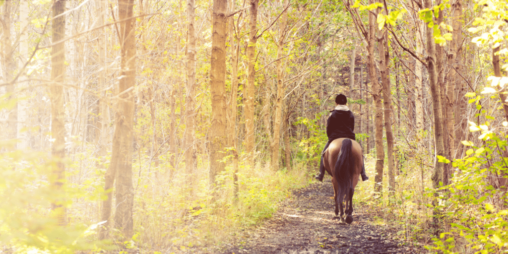 5 More Fun Things to Do in Montgomery County! 1 horse riding at the ranch