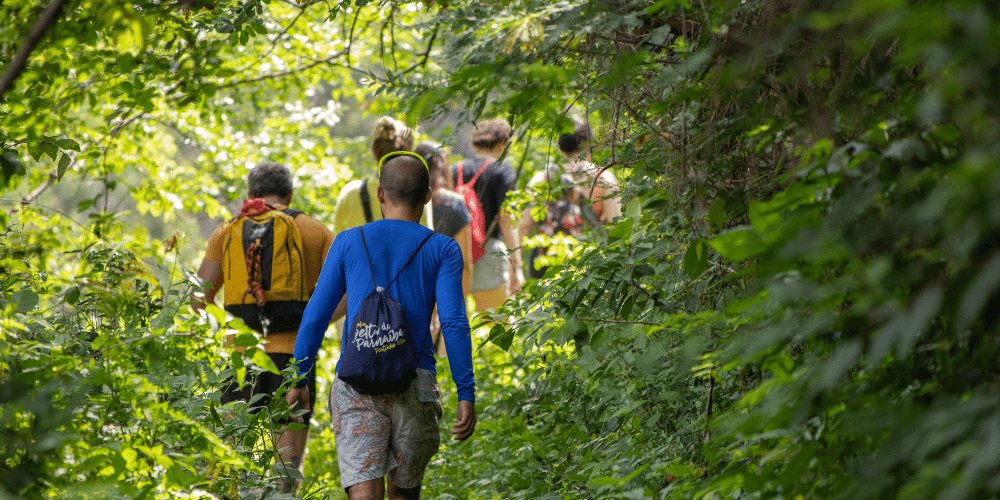 5 More Fun Things to Do in Montgomery County! 7 Nature Preserve 1