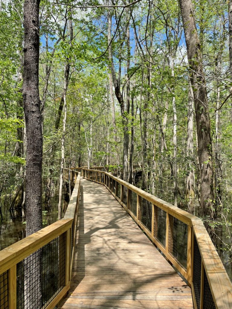 National Park Drivable Routes 5 national park scenic drives