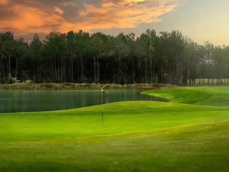 MTk2NTc0MzEyNjkyNDU5NDg3