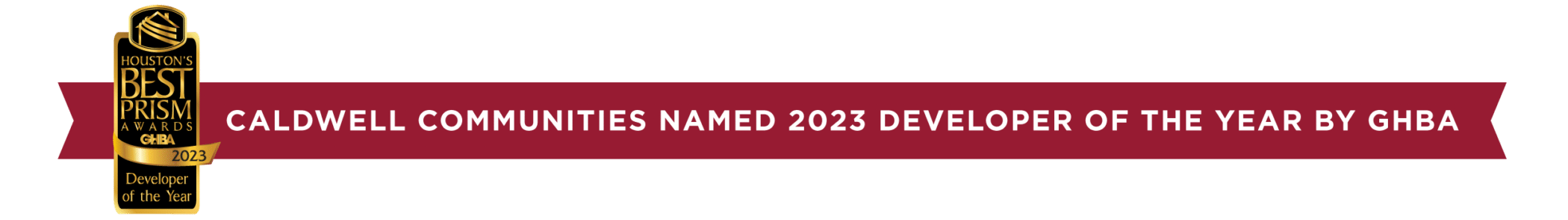 Developer of the Year